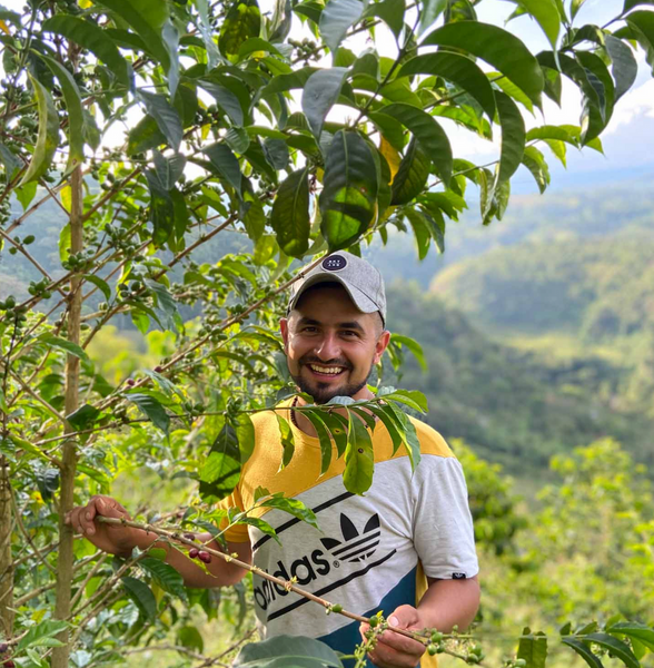 September Coffee - Esnaider Ortega, Colombia Washed Sidra