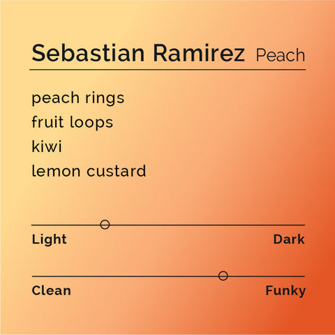 Black White Roasters - Sebastian Ramirez, Peach Caturra