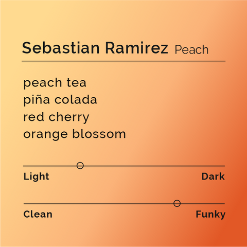 Black White Roasters - Sebastian Ramirez, Peach PinkBourbon