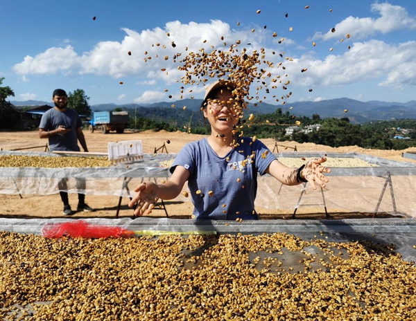 Pirates of Coffee - Treasure of China: Double Anaerobic Natural