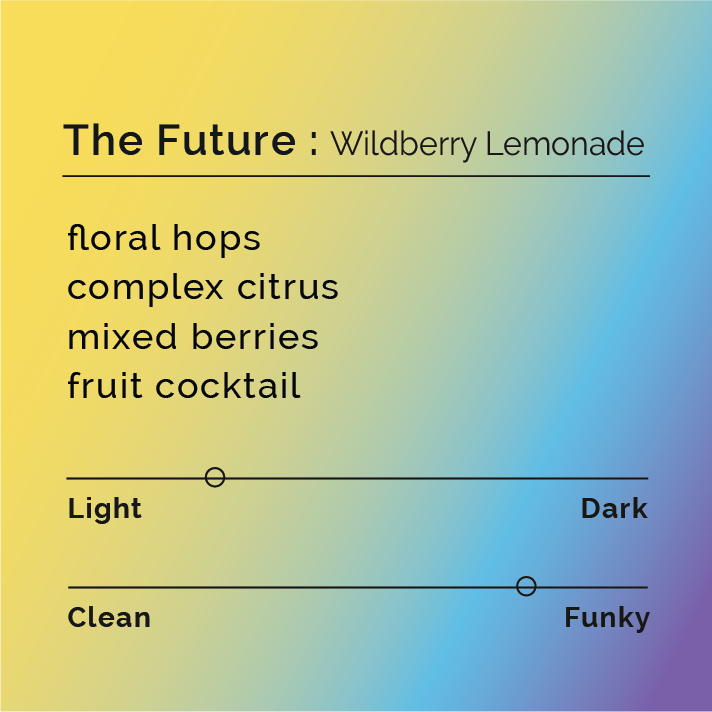 Black White Roasters - The Future: Wildberry Lemonade