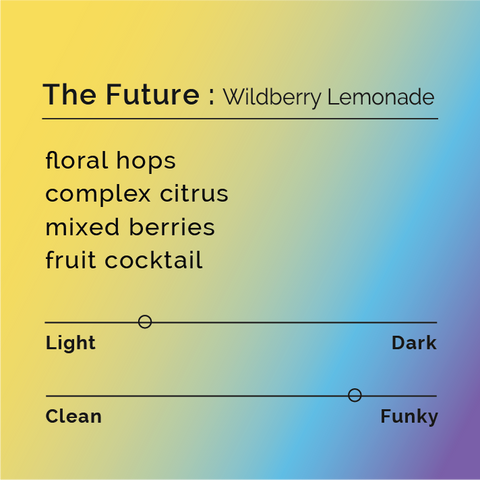 Black White Roasters - The Future: Wildberry Lemonade