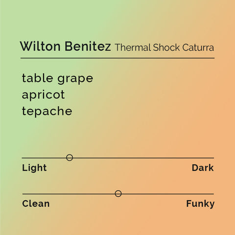 Black White Roasters - Wilton Benitez Thermal Shock Caturra