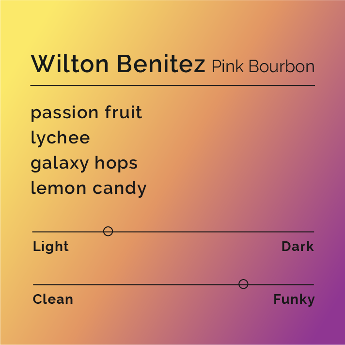 Black White Roasters - Wilton Benitez, Pink Bourbon