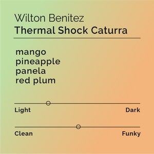 Black White Roasters - Wilton Benitez Thermal Shock Caturra