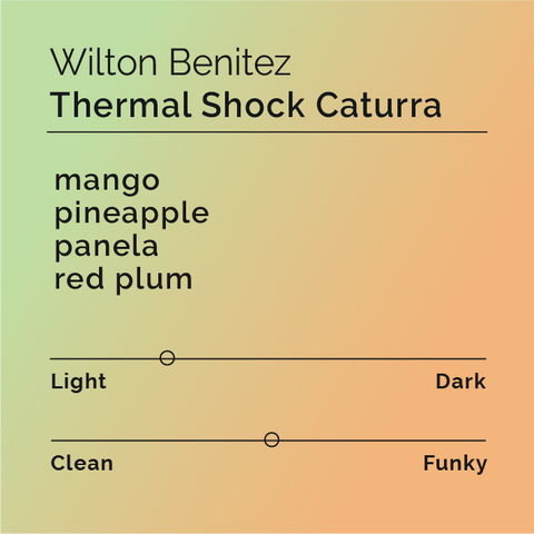 Black White Roasters - Wilton Benitez Thermal Shock Caturra