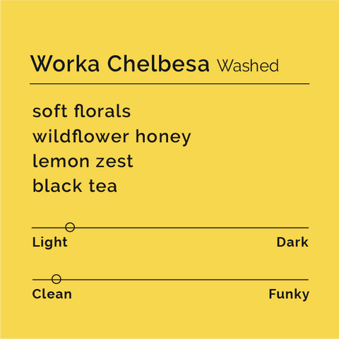 Black White Roasters - Worka Chelbesa, Washed