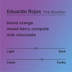 Black White Roasters - Eduardo Rojas, Pink Bourbon