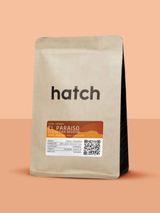 Hatch Coffee - [Filter/Espresso] Colombia El Paraiso Eco-Enigma