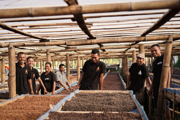 Good Vibes Roastery - Indonesia Tuang Flores, Fully Washed Kartika II