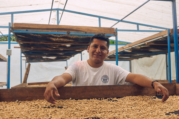 September Coffee - David Flores, Peru Washed Sidra