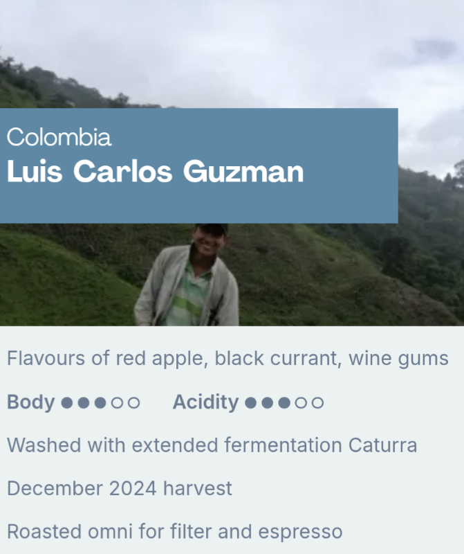 Sample Coffee Roasters - Colombia Luis Carlos Guzman, Washed with Extended Fermentation Caturra