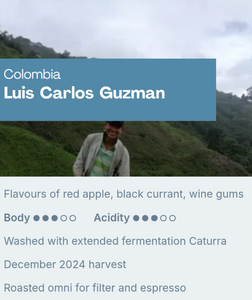 Sample Coffee Roasters - Colombia Luis Carlos Guzman, Washed with Extended Fermentation Caturra