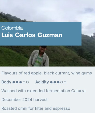 Sample Coffee Roasters - Colombia Luis Carlos Guzman, Washed with Extended Fermentation Caturra