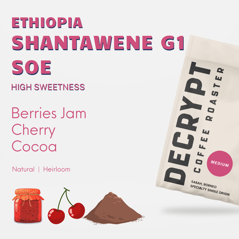 Decrypt Coffee - Ethiopia Shantawene G1 SOE