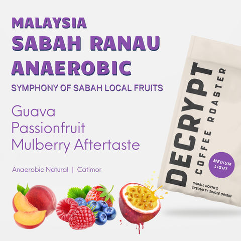 Decrypt Coffee - Malaysia Sabah Ranau Anaerobic Natural