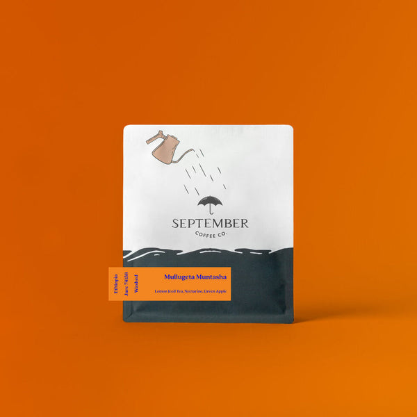 September Coffee - Mullugeta Muntasha, Ethiopia Washed JARC 74158