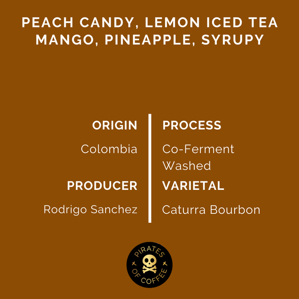 Pirates of Coffee - Fxzzy Peach, Colombia Coferment