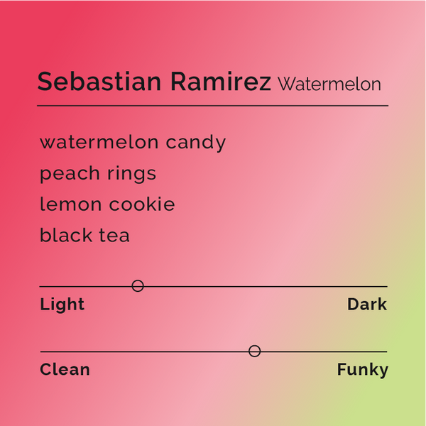 Black White Roasters - Sebastian Ramirez, Watermelon