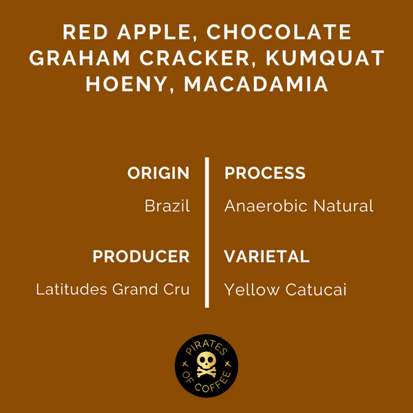 Pirates of Coffee - Apple Pie: Brazil Anaerobic Natural