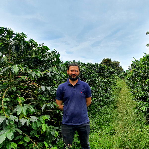Pirates of Coffee - Elixir Espresso, Colombia Honey Culturing
