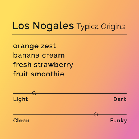 Black White Roasters - Los Nogales, Typica Origins