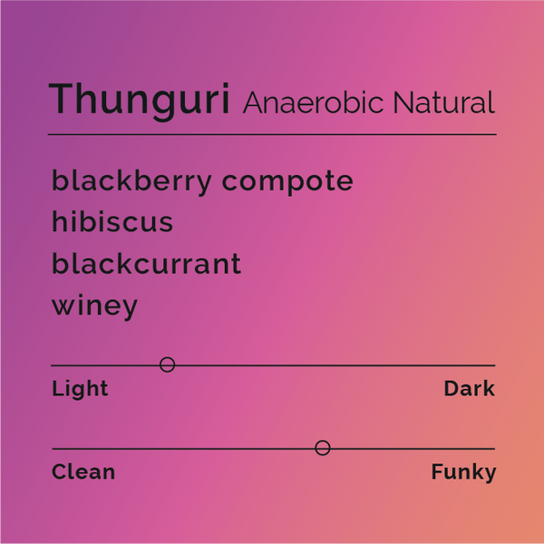 Black White Roasters - Thunguri, Anaerobic Natural