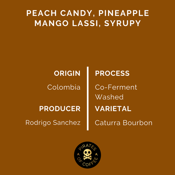 Pirates of Coffee - Fxzzy Peach Espresso, Colombia Coferment