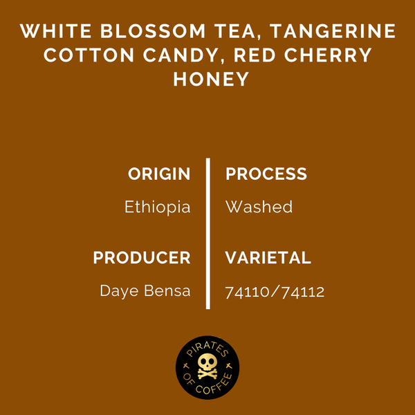 Pirates of Coffee - Bloom, Daye Bensa Ethiopia Abore Washed