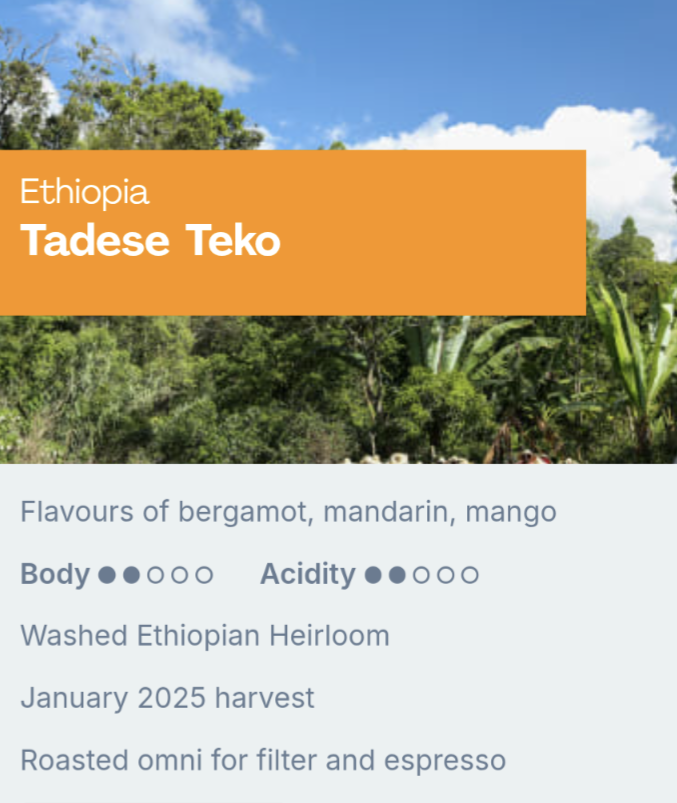 Sample Coffee Roasters - Ethiopia Tadese Teko, Washed process Ethiopian Heirloom