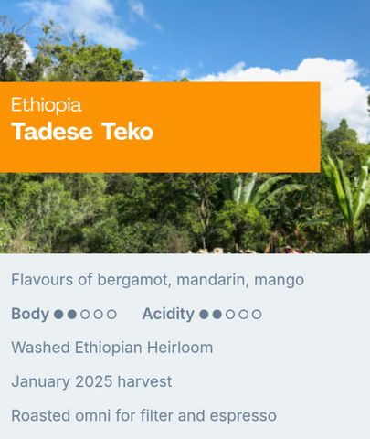 Sample Coffee Roasters - Ethiopia Tadese Teko, Washed process Ethiopian Heirloom