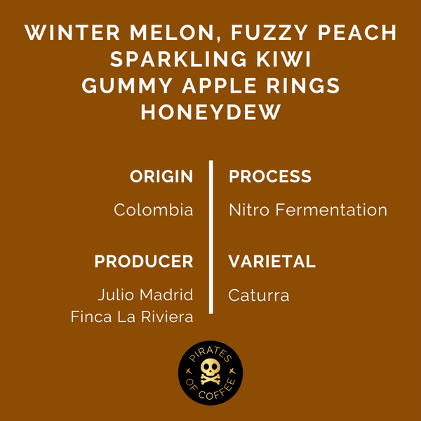Pirates of Coffee - Melonfizz: Colombia Nitro Fermentation