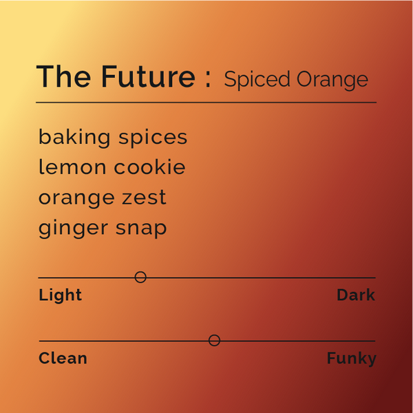 Black White Roasters - The Future: Spiced Orange