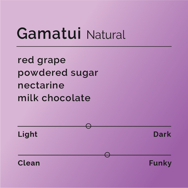 Black White Roasters - Gamatui Natural