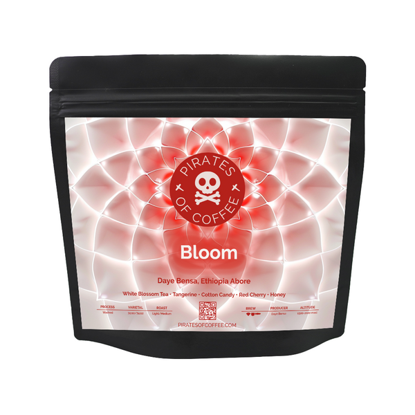 Pirates of Coffee - Bloom, Daye Bensa Ethiopia Abore Washed