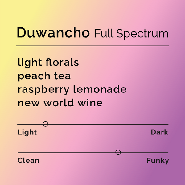 Black White Roasters - Duwancho Full Spectrum