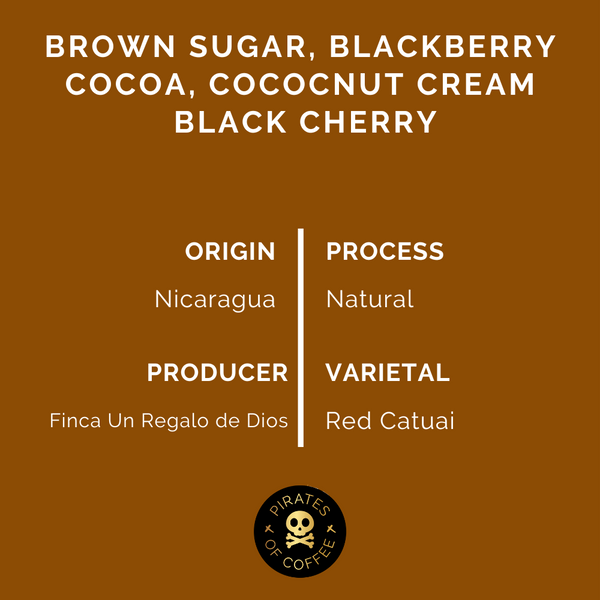 Pirates of Coffee - Red Catuai: Nicaragua Natural