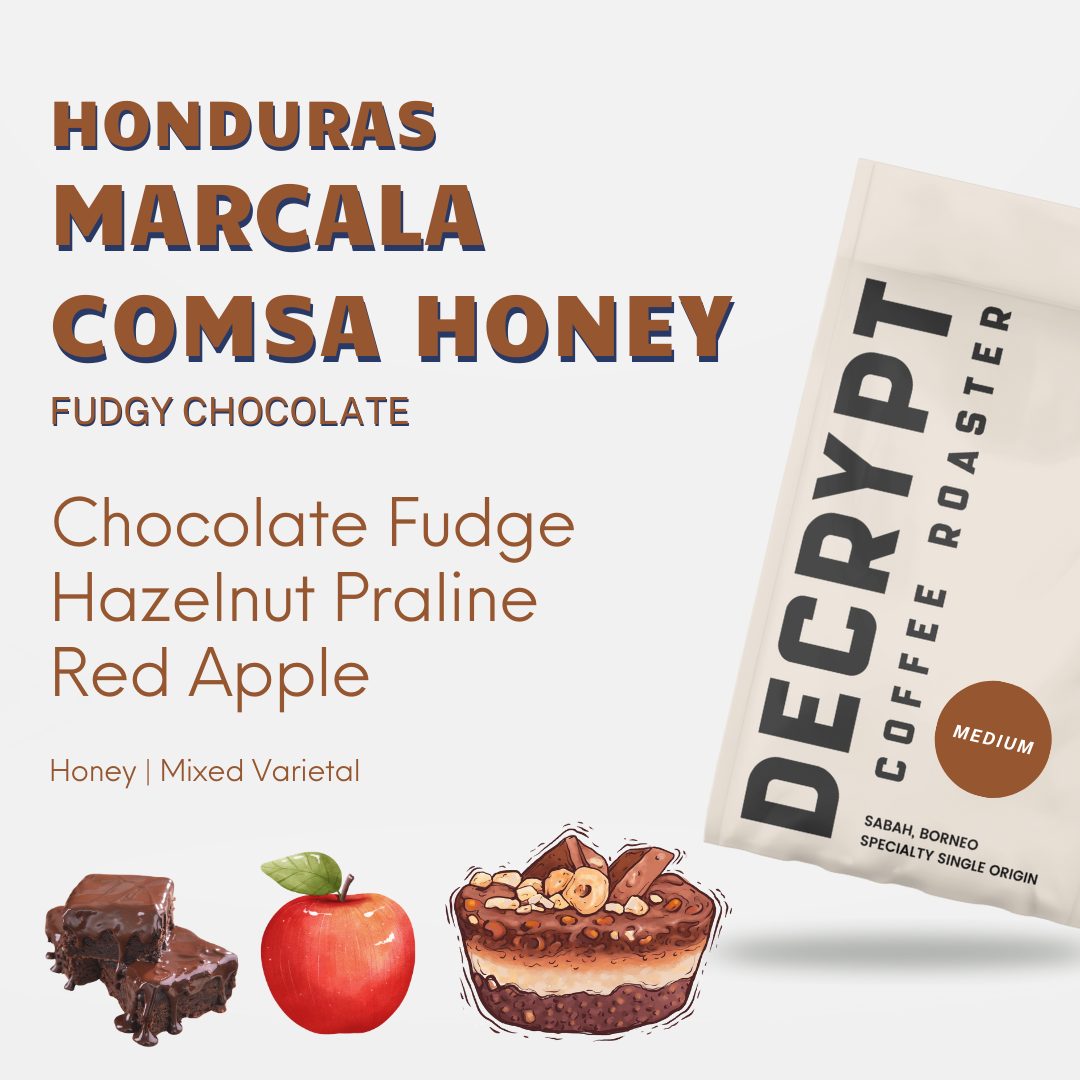 Decrypt Coffee - Honduras Marcala Comsa Honey