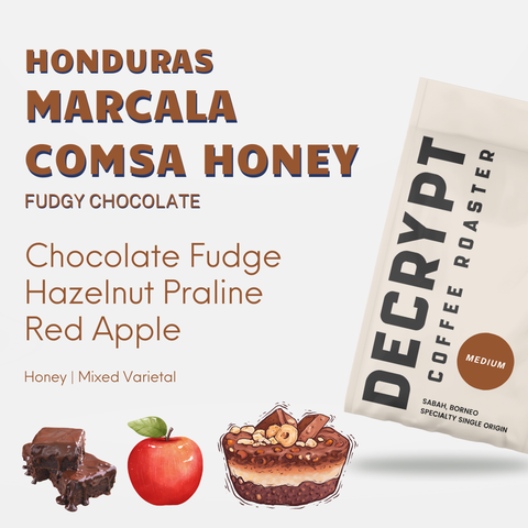 Decrypt Coffee - Honduras Marcala Comsa Honey