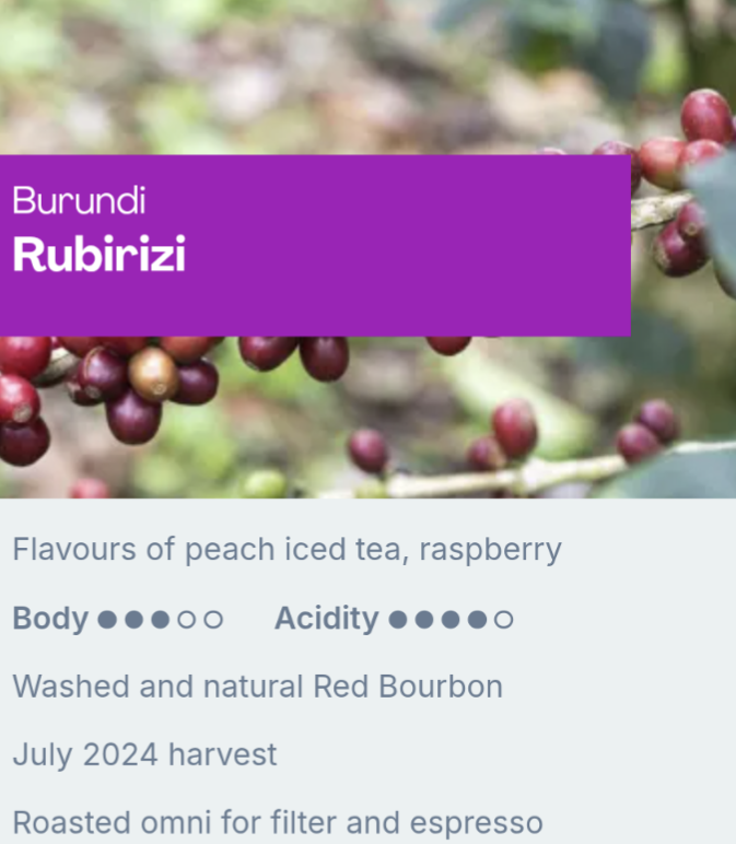 Sample Coffee Roasters - Burundi Rubirizi, Washed and Natural Red Bourbon