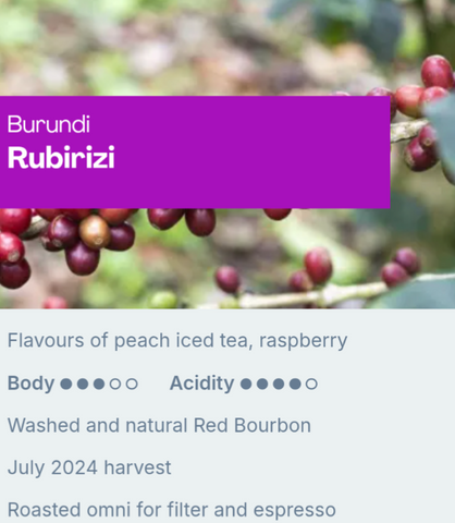 Sample Coffee Roasters - Burundi Rubirizi, Washed and Natural Red Bourbon