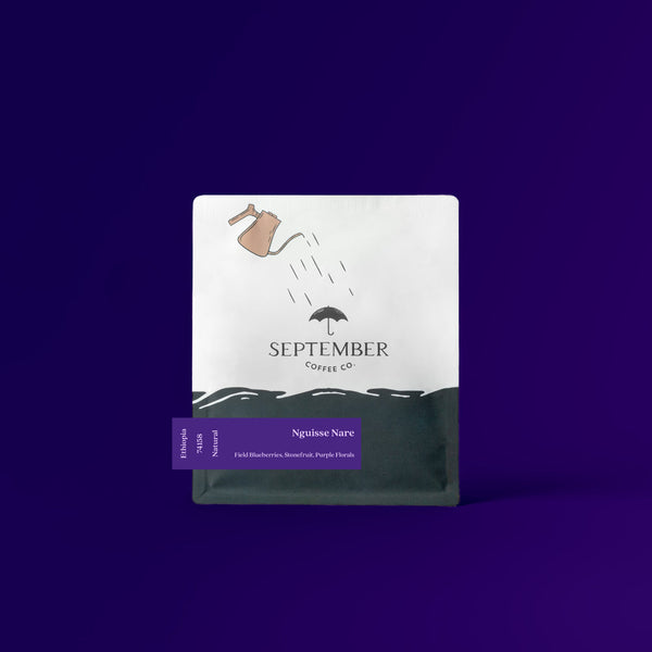 September Coffee - Nguisse Nare, Ethiopia Natural JARC14158