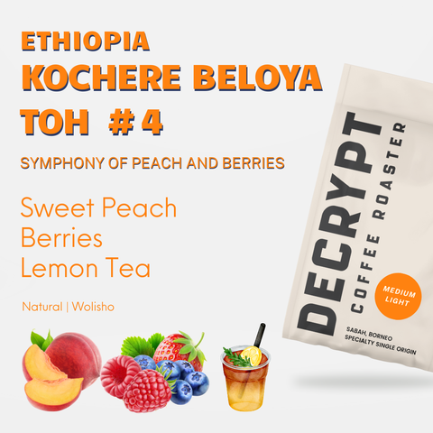 Decrypt Coffee - Ethiopia Kochere Beloya TOH#4