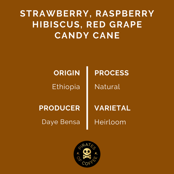 Pirates of Coffee - Fruit Punch Espresso, Ethiopia Sidama Natural
