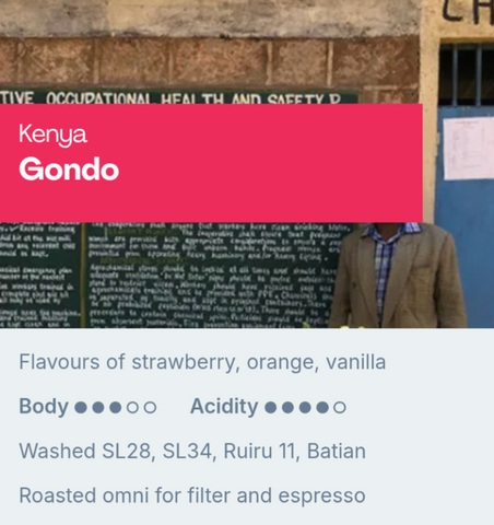Sample Coffee Roasters - Kenya Gondo, Washed SL28, SL34, Ruiru 11, Batian