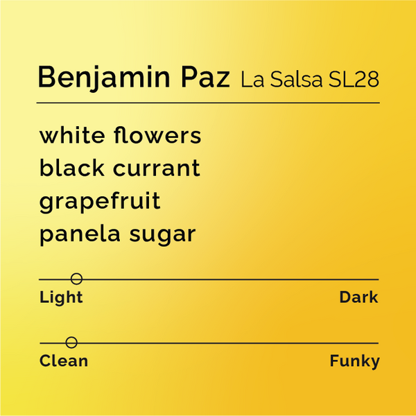 Black White Roasters - Benjamin Paz La Salsa SL28