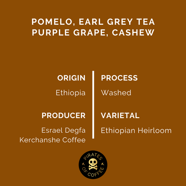 Pirates of Coffee - Yirgacheffe: Ethiopia Washed