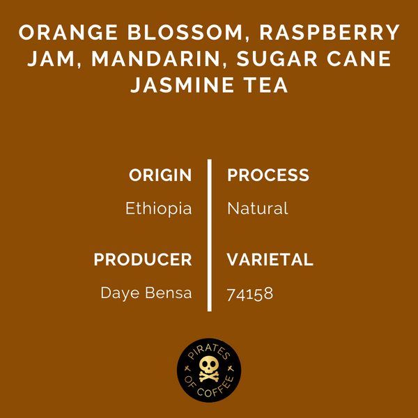Pirates of Coffee - Daye Bensa Hamasho: Ethiopia Natural