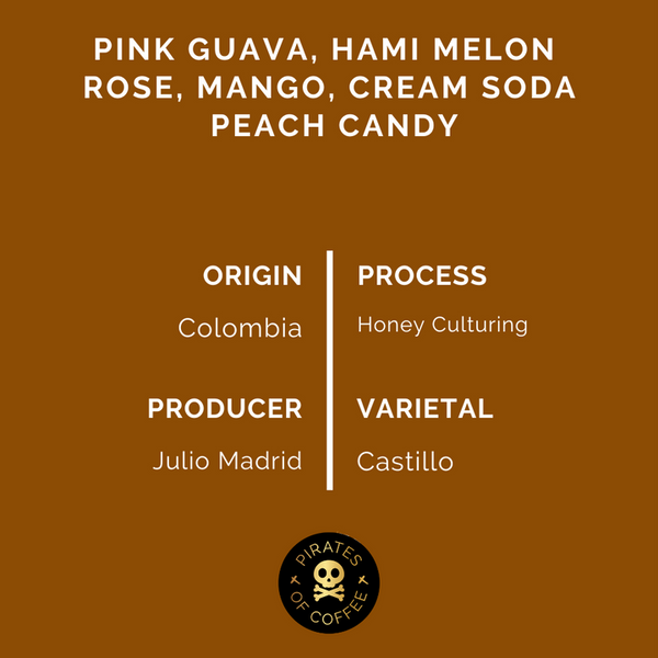 Pirates of Coffee - Magic Potion: Colombia Honey Culturing