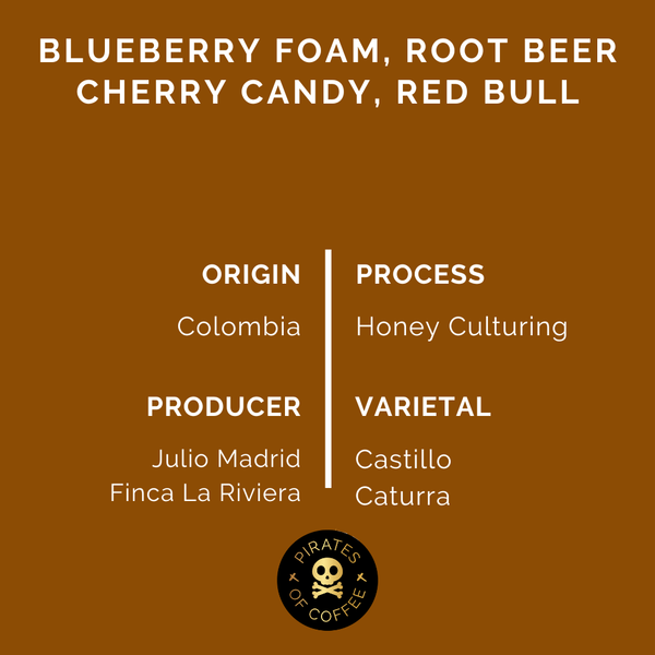 Pirates of Coffee - Elixir Espresso, Colombia Honey Culturing